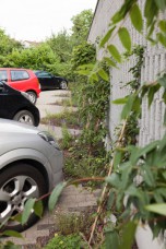Parkplatz nachher (Foto: N. Macekas)