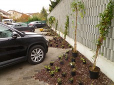 Der Parkplatz mit Pflanzinseln